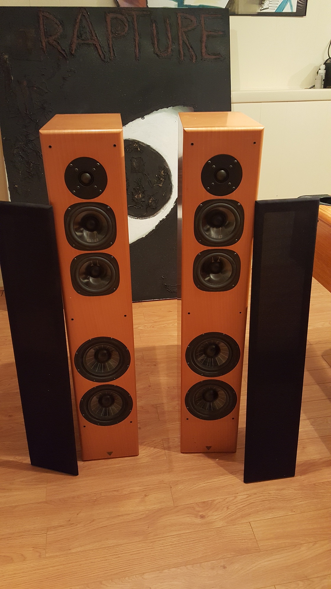 vienna acoustics speakers